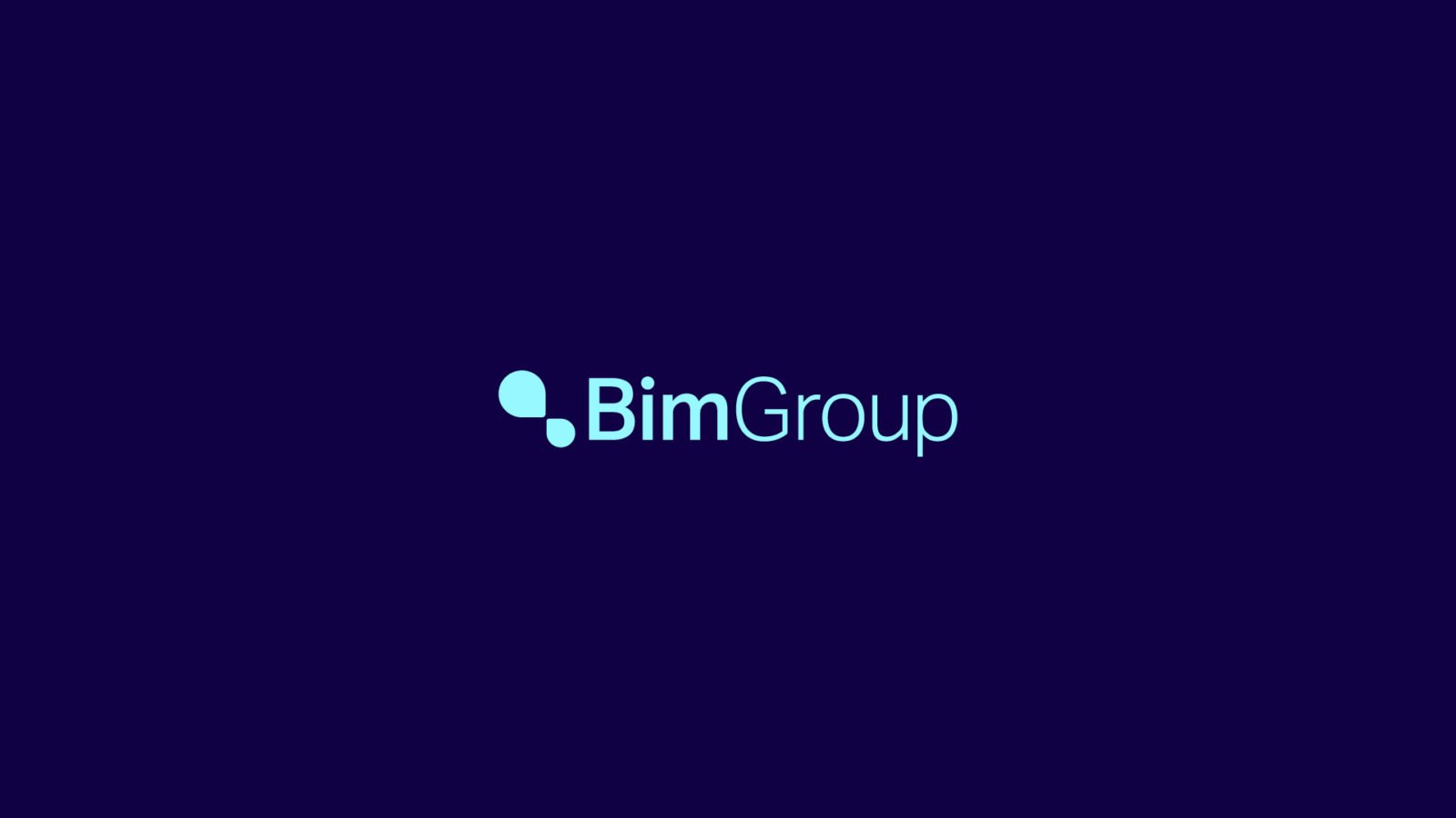 Bim Group Professional Services Brand Identity Wordmark by Bullhorn Creative