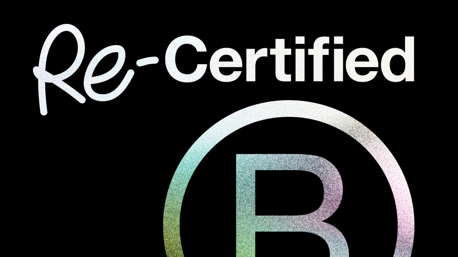 B Corp Recertification Process: An Interview with Emily Minner