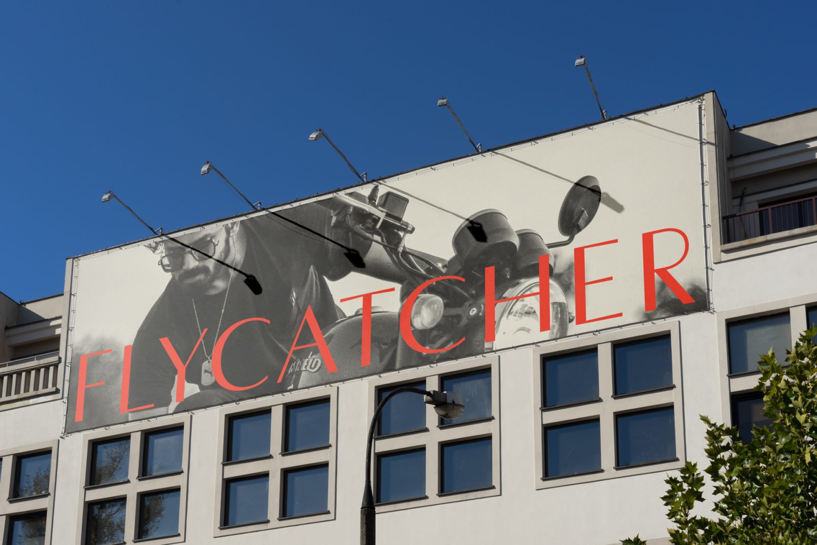 Flycatcher Mens Skincare Brand Billboard Design